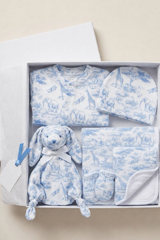 The Little Toile Blue Gift Box