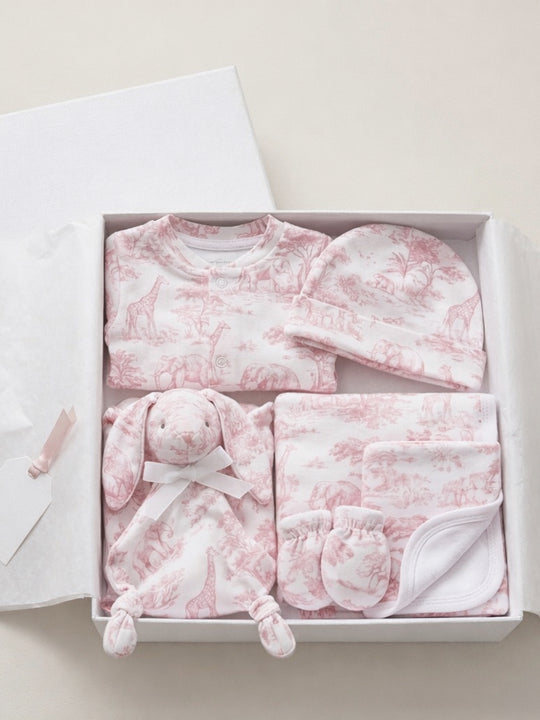 The Little Toile Pink Gift Box